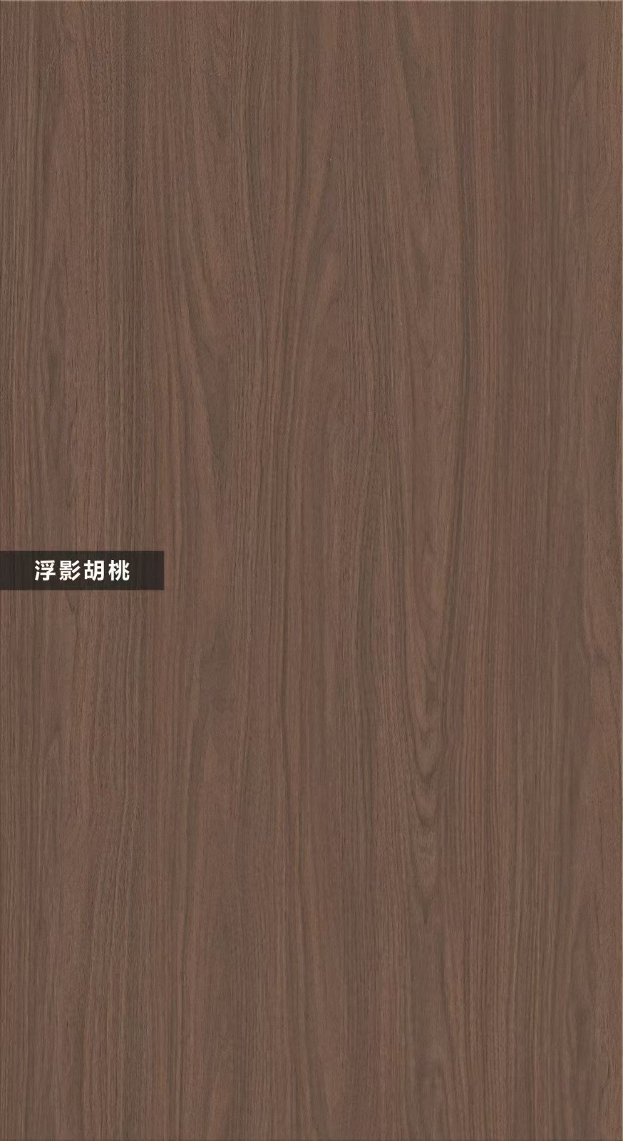 T18-浮影胡桃